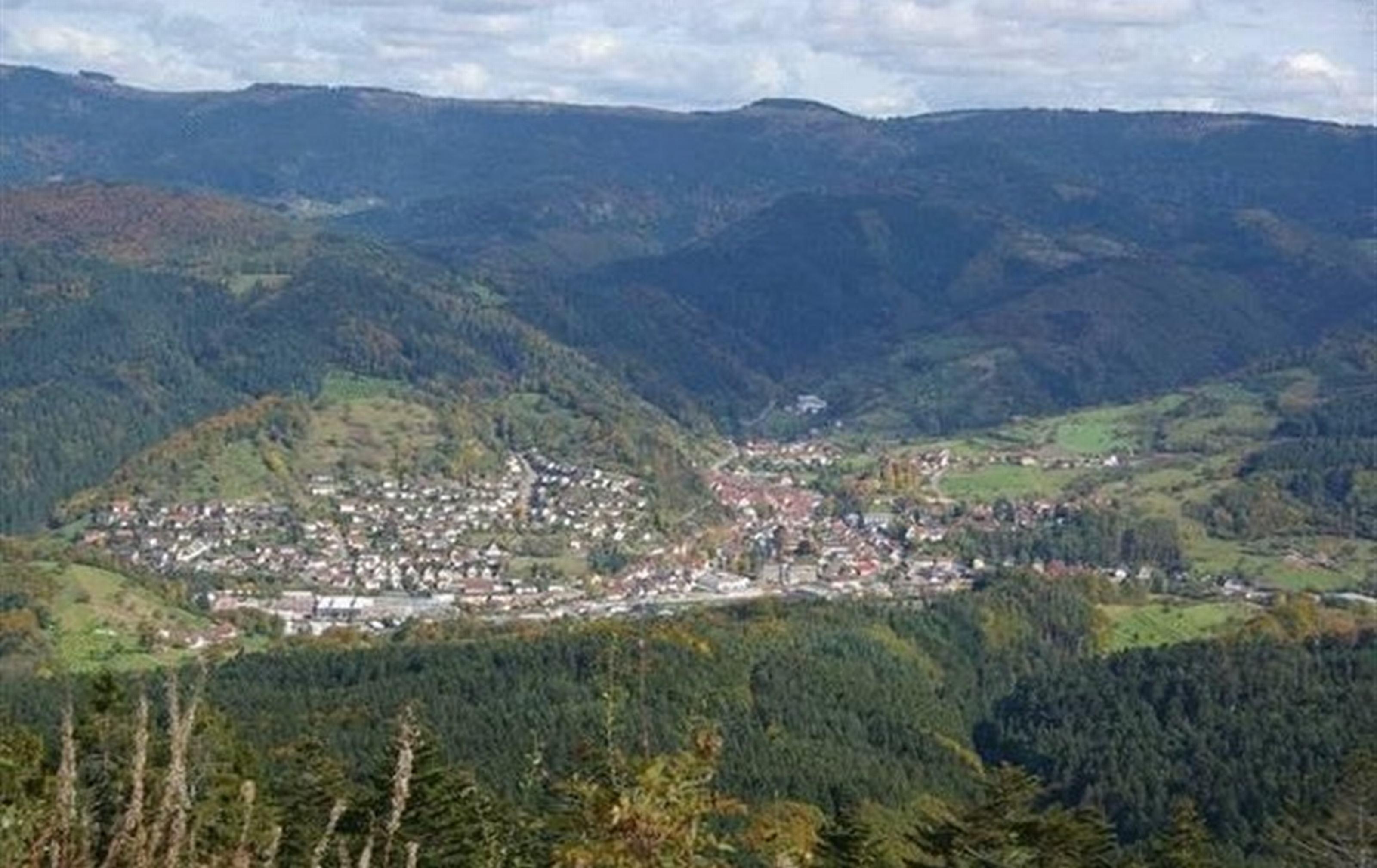 Gasthaus Finken Oppenau Buitenkant foto