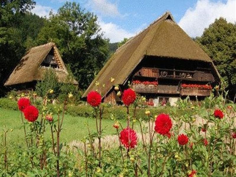 Gasthaus Finken Oppenau Buitenkant foto